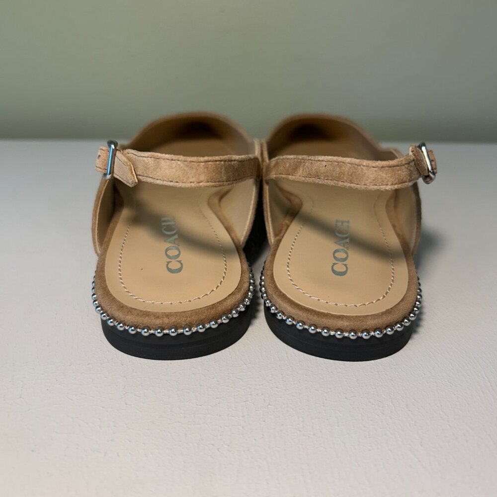Coach Women's VAE Suede Skimmer Ballet Flat - Picture 7 of 14